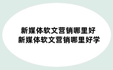 新媒体软文营销哪里好 新媒体软文营销哪里好学